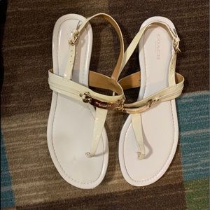 Coach thong sandals
